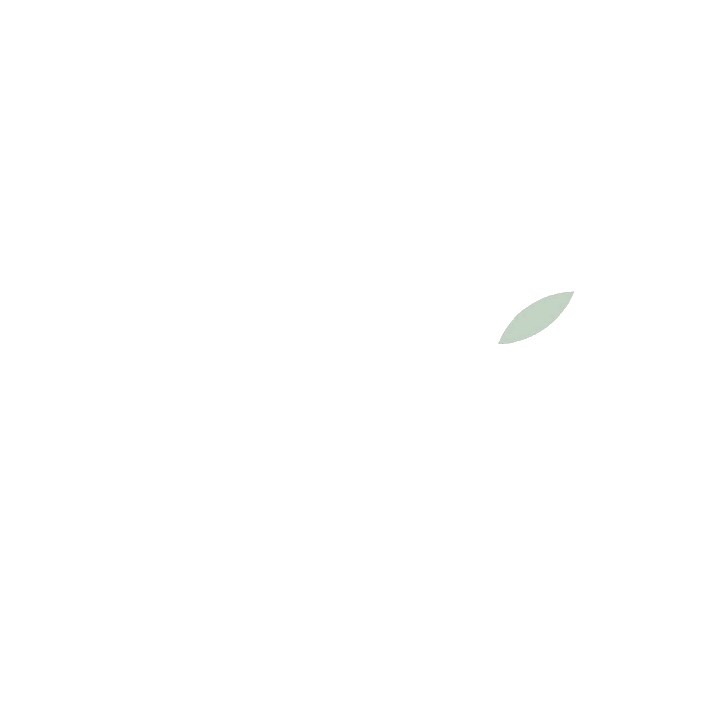 wit-logo